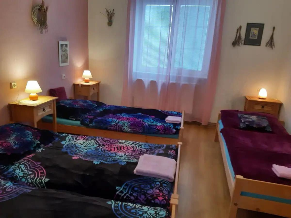 U Pani Malirky Leilighet Valtice Eksteriør bilde